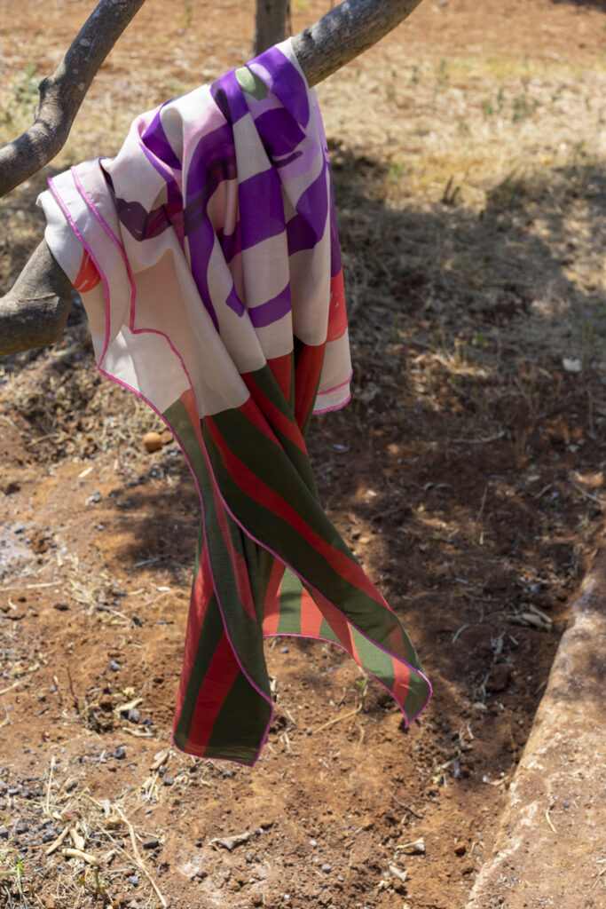 Trygos pareo - Image 2