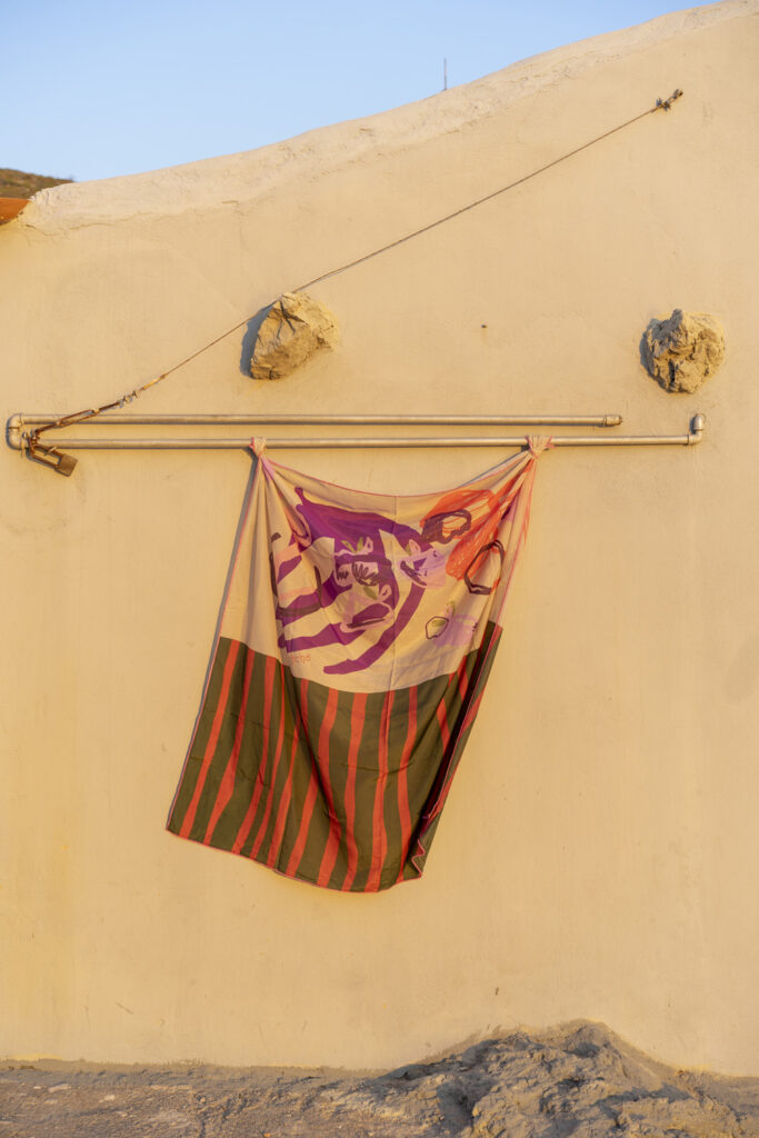 Trygos pareo - Image 5